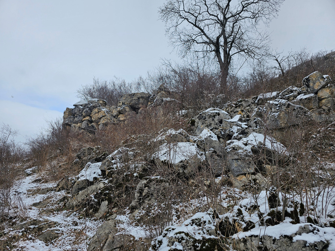 Mount Tesilk