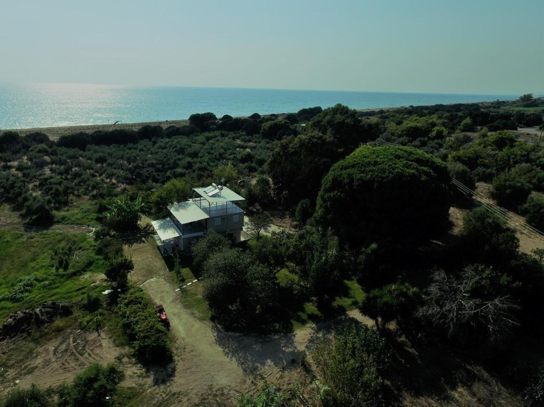 Ktima Bilioni