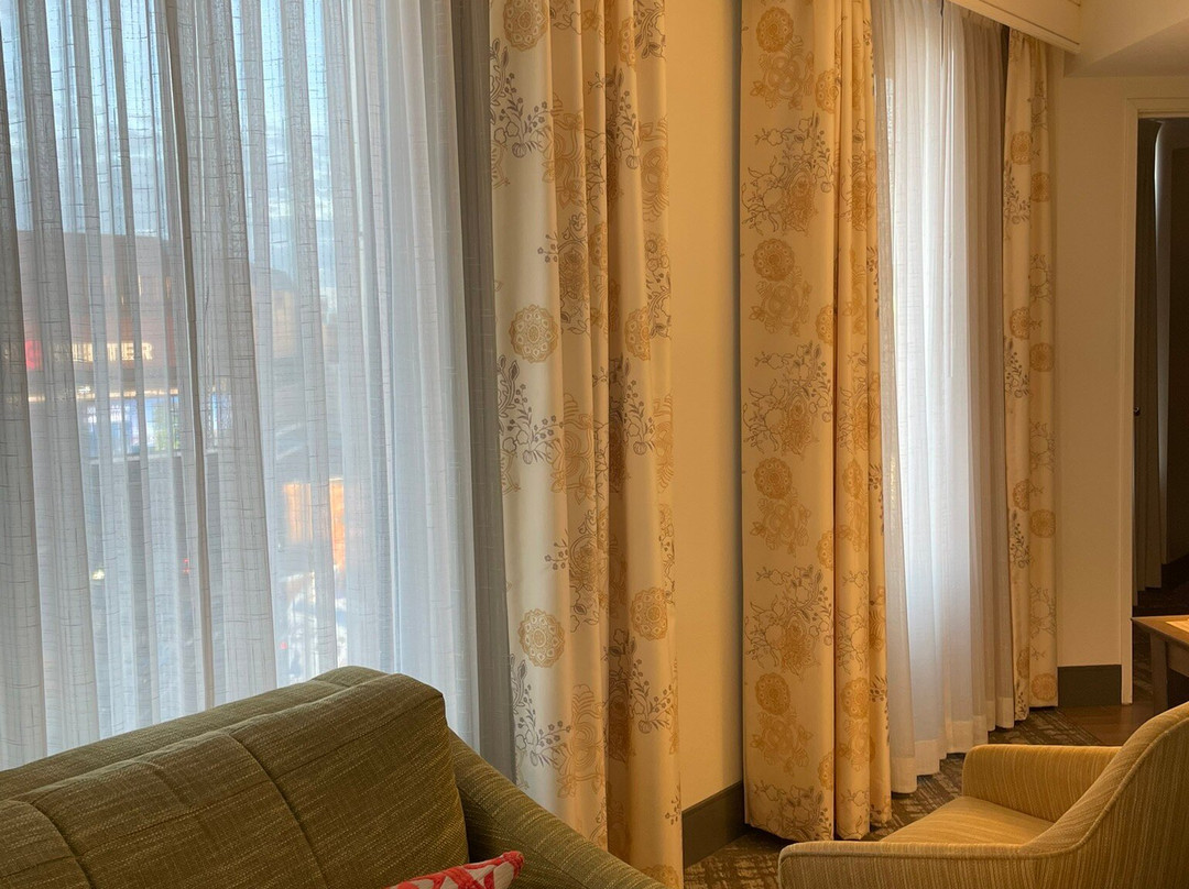 Hampton Inn & Suites Minneapolis/Downtown主图