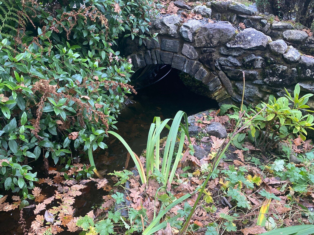 King Arthur's Labyrinth景点图片