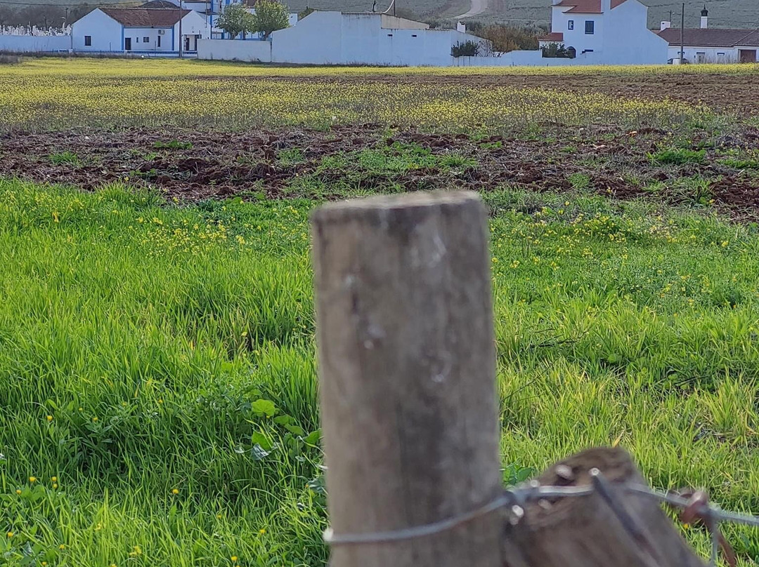 Castle of Valongo-埃武拉必去景点