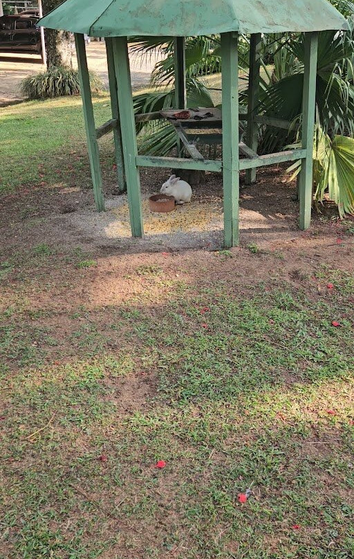 Pousada Famiglia Barthô主图