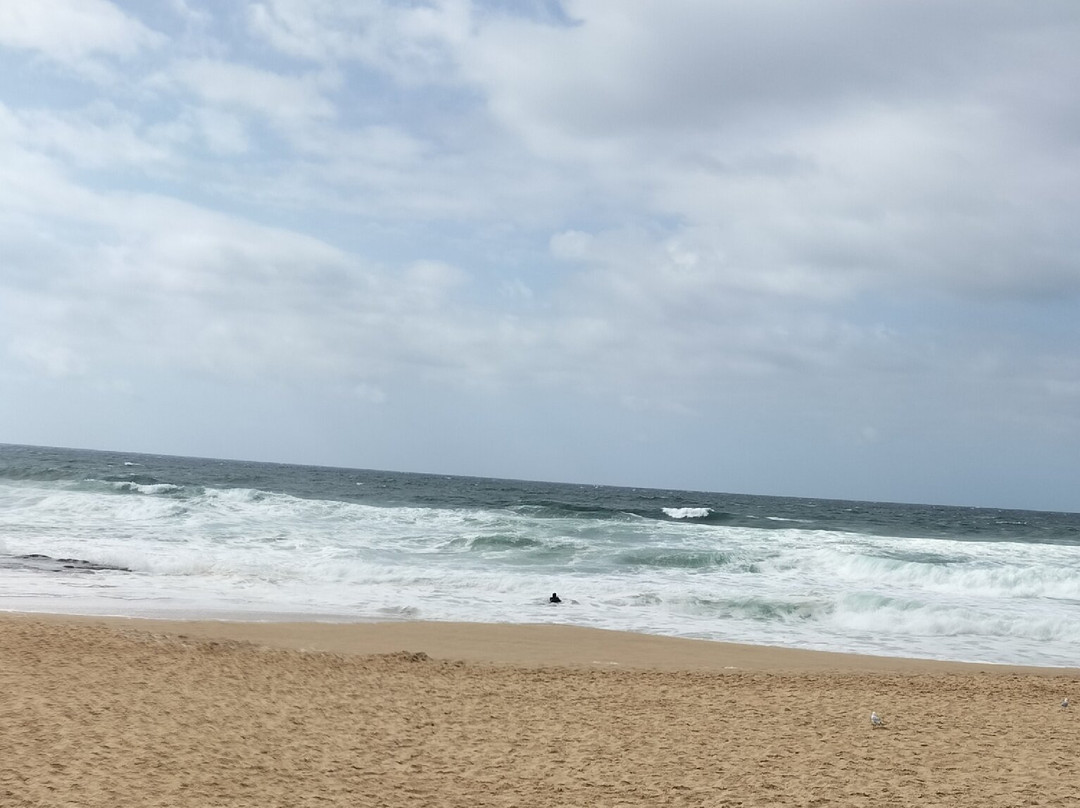 Newcastle Beach-纽卡斯尔必去景点