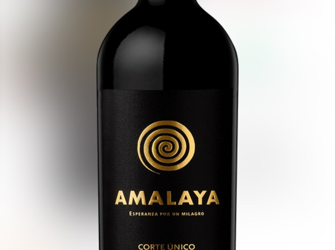 Fernando de Noronha Marine National Park-费尔南多-迪诺罗尼亚群岛必去景点