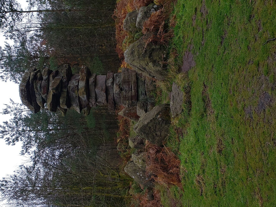 Druids Temple-里彭必去景点