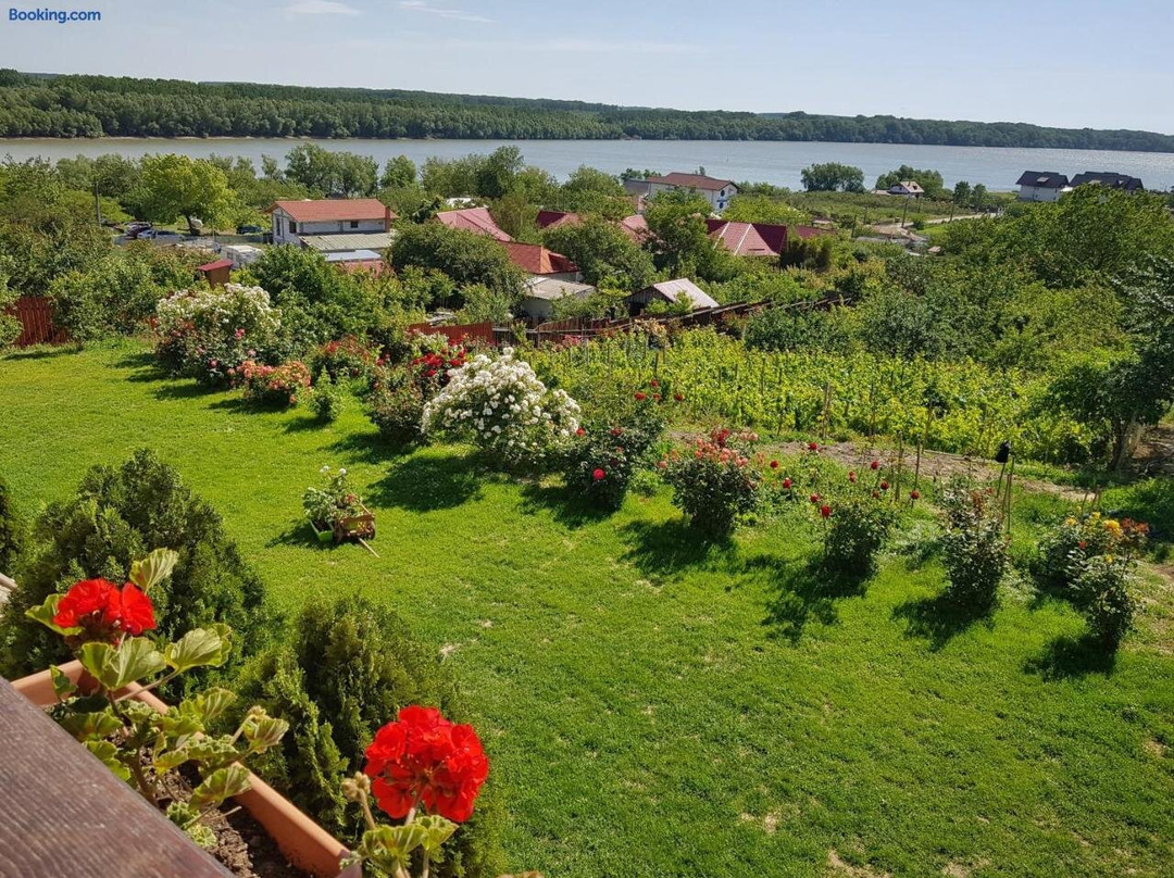 Lovely Stay in Danube Delta