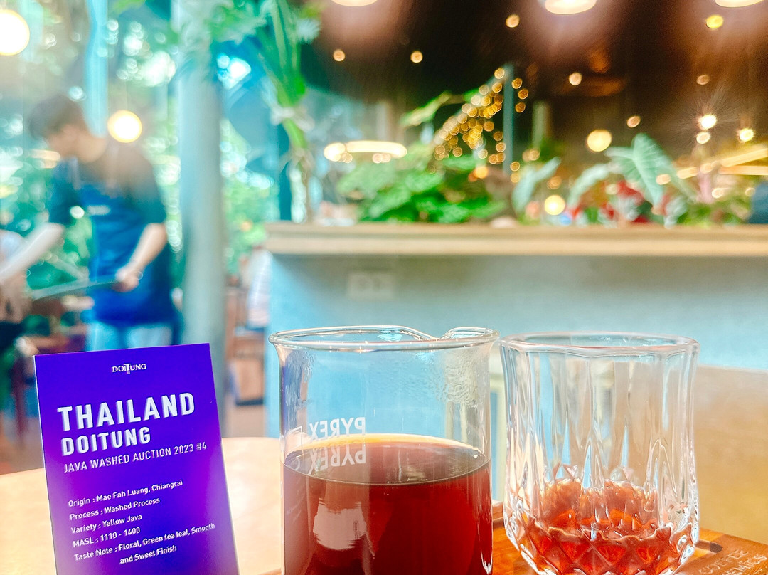 The Coffee Academics Thailand