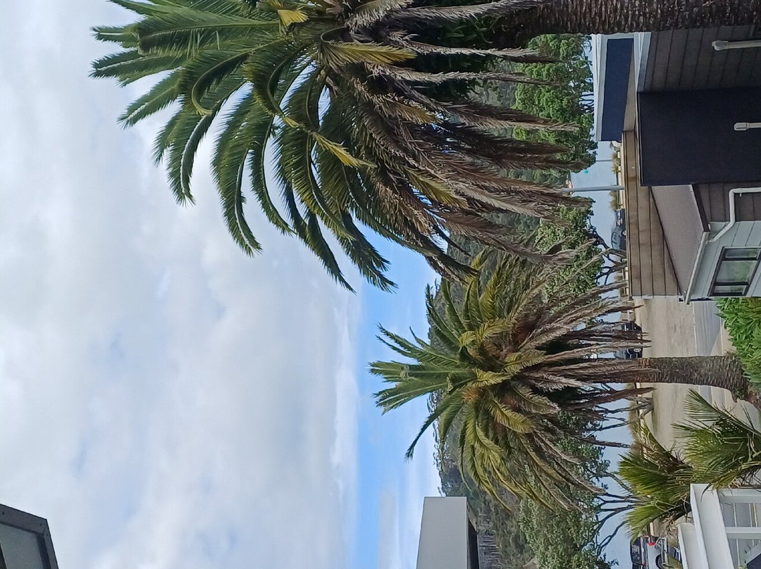 滨海公寓主图