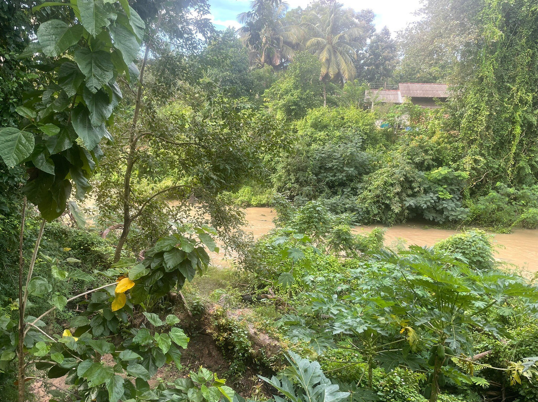 Jami River Side Hotel & Yala Safari Place主图