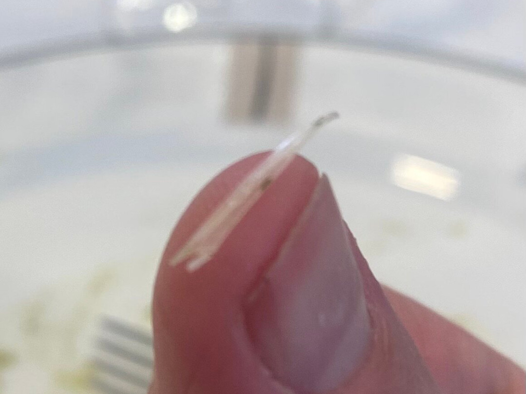维托瑞亚酒店主图
