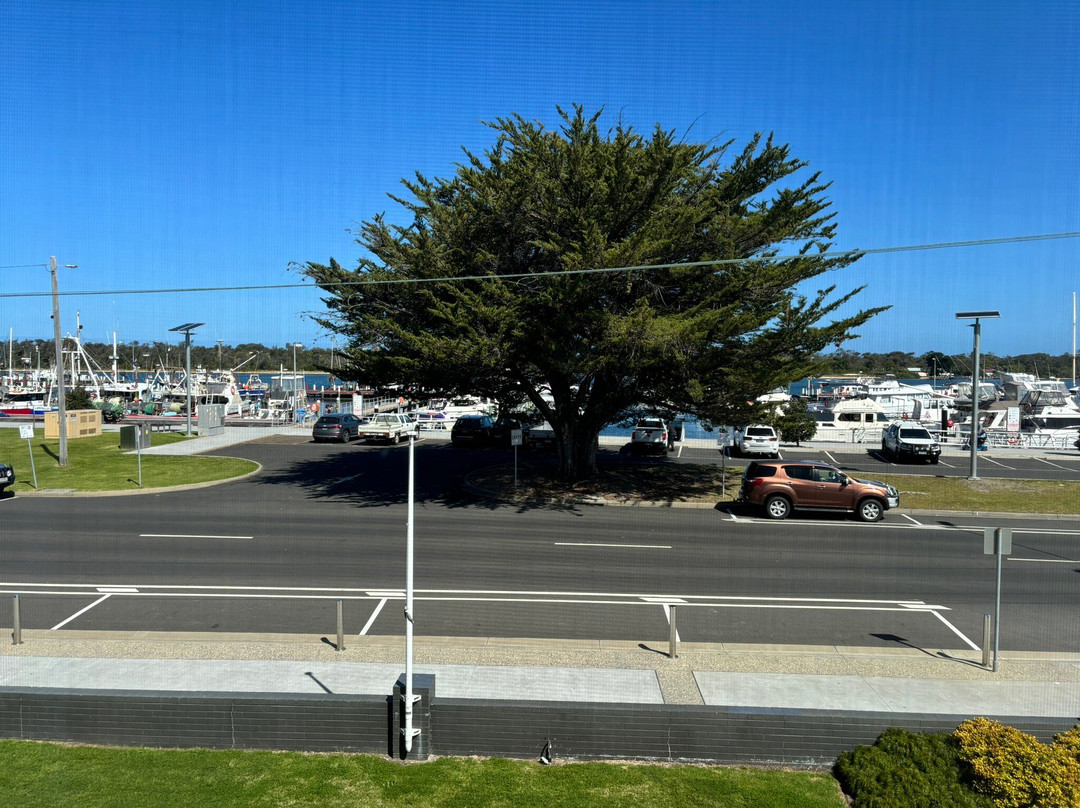 贝尔维尤市的湖泊主图