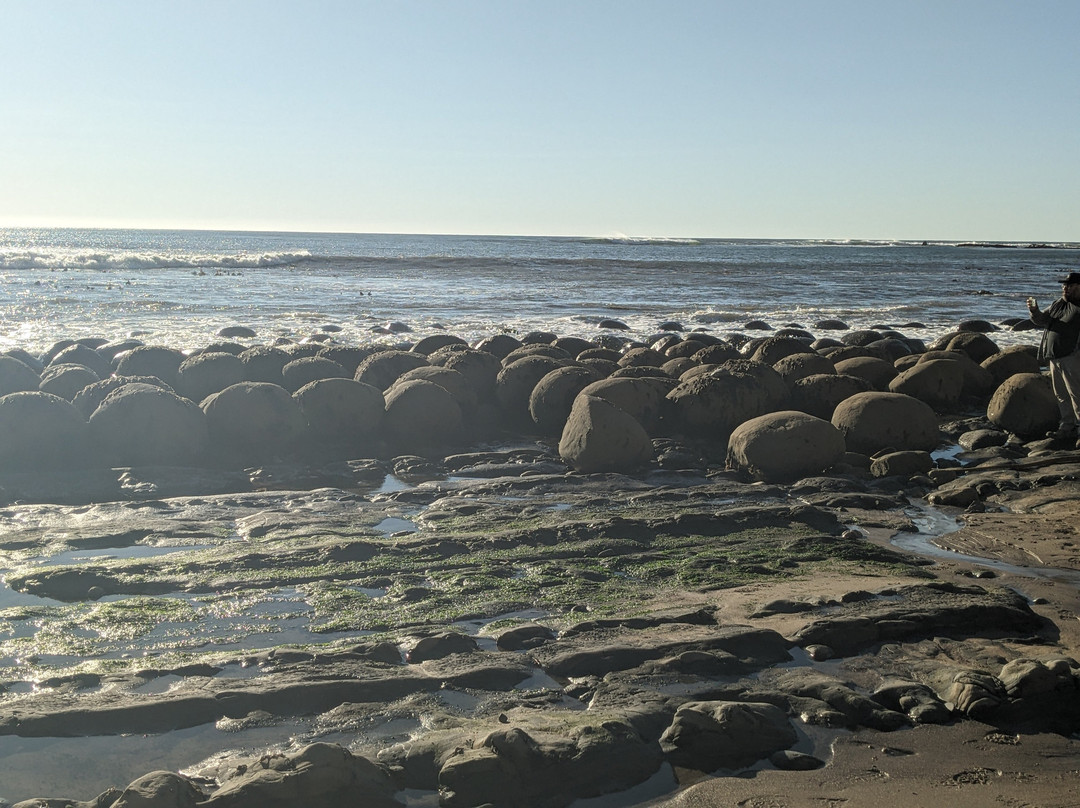 Schooner Gulch State Beach景点图片