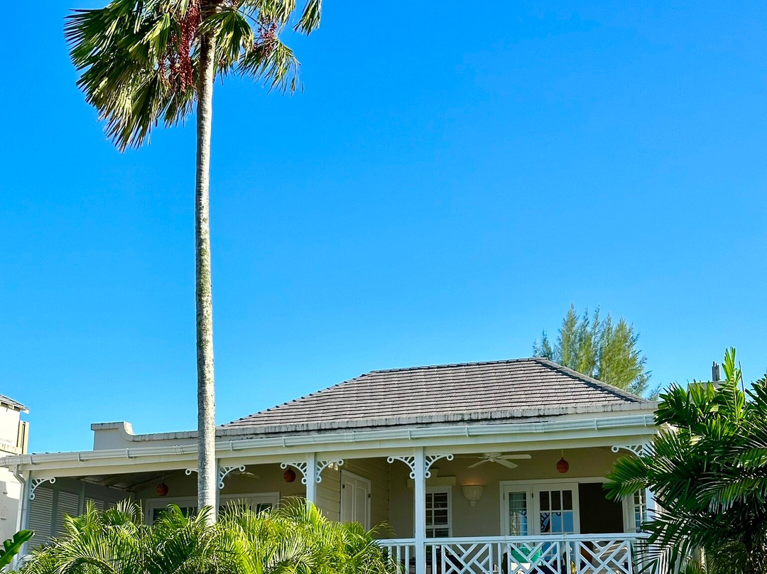 Coral Reef Club主图