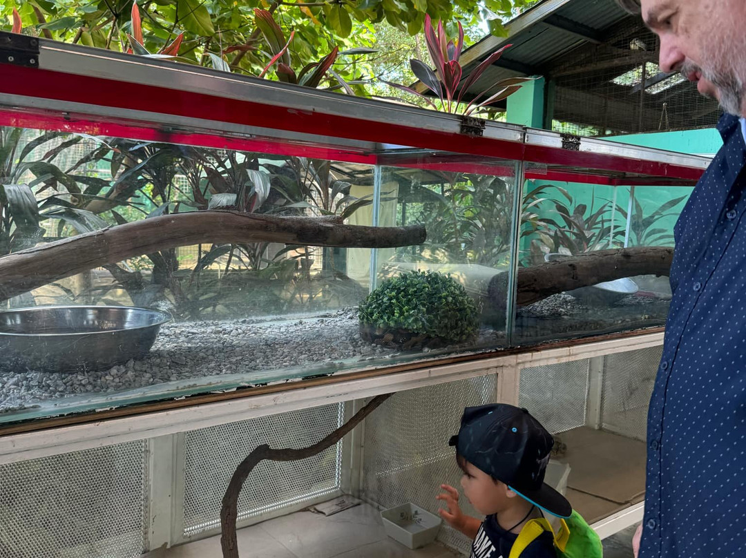 Crocolandia-宿雾必去景点