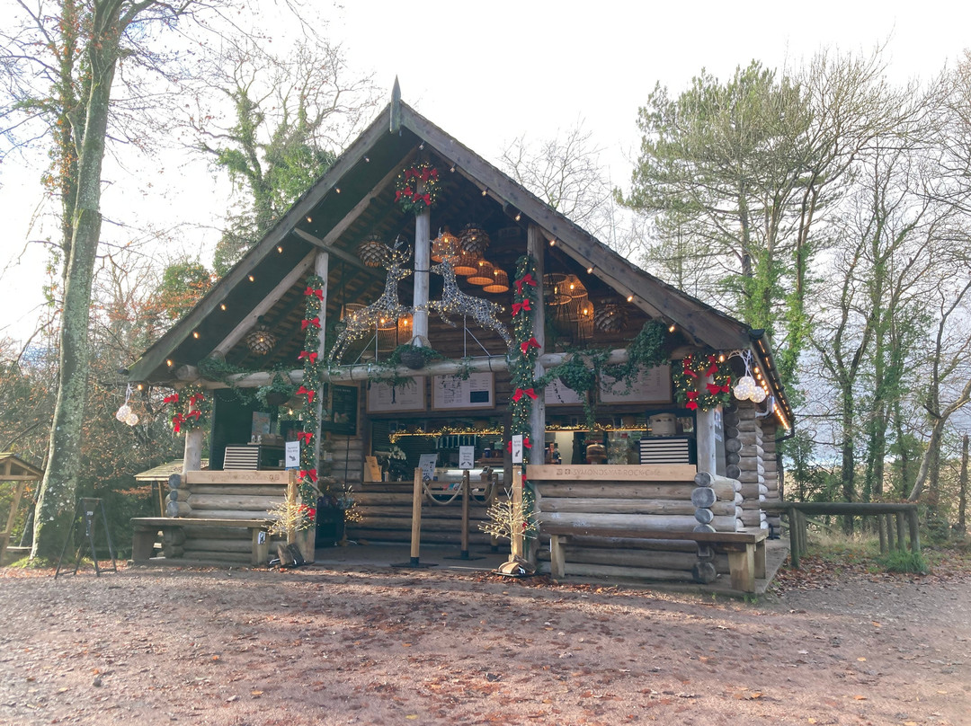 The Log Cabin