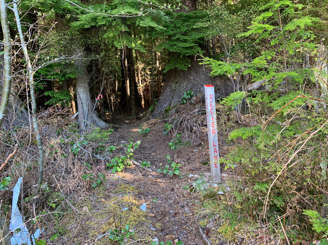 Regier Lake Trail-Daajing Giids必去景点