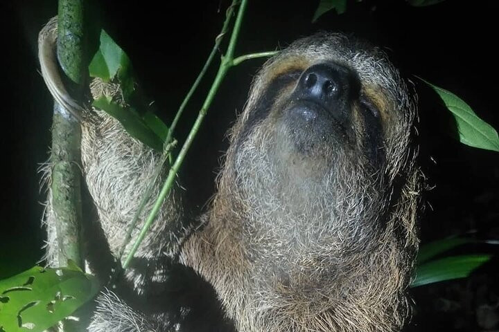 Nature Tours Costa Rica-哥斯达黎加安东尼奥国家公园必去景点
