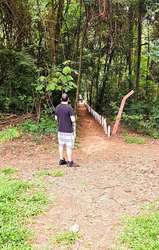 Bosque Municipal Rangel Pietraroia景点图片