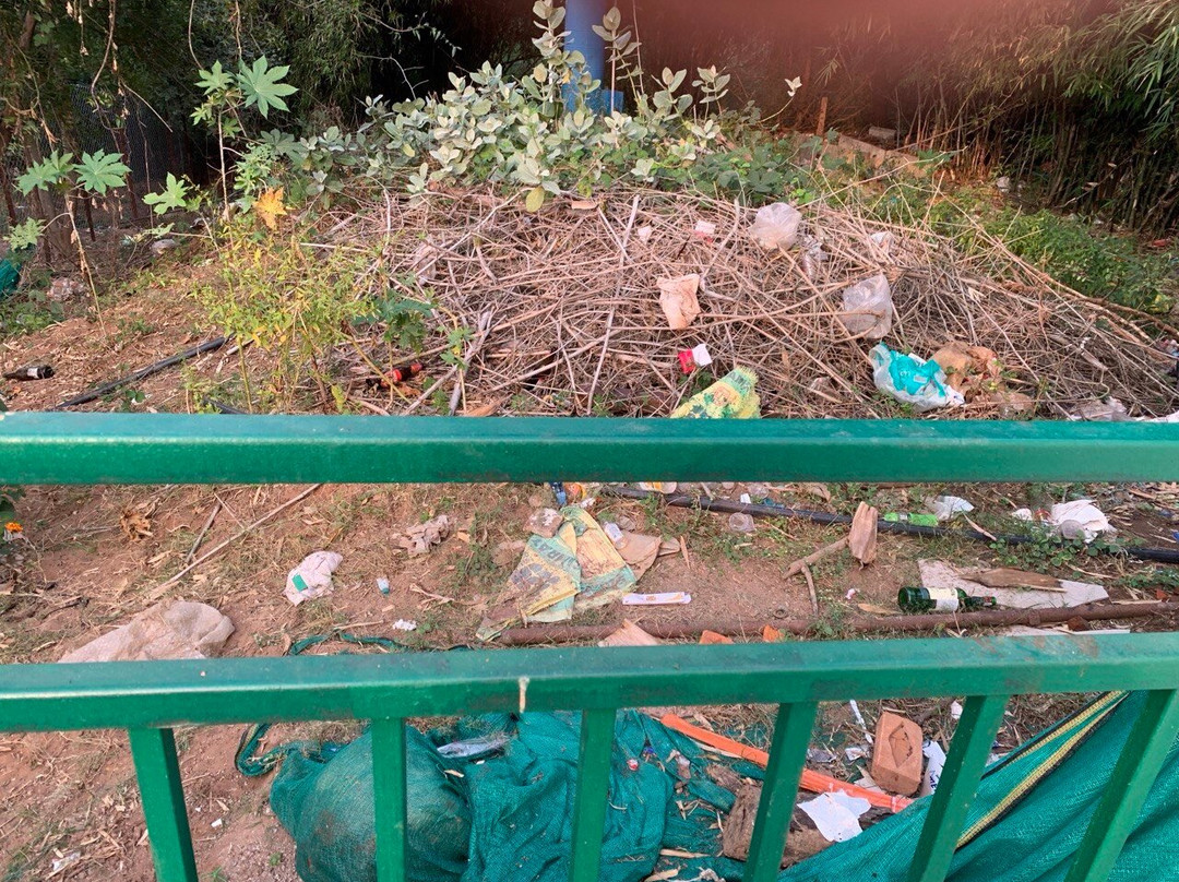 Panna Tiger Resort主图