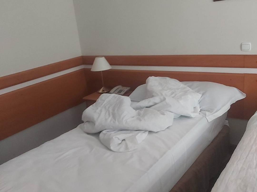 Hotel Metropol主图