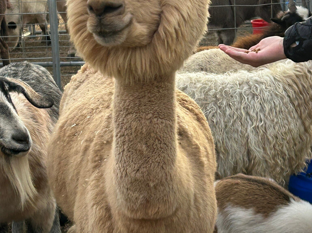 AmericInn by Wyndham Clear Lake主图