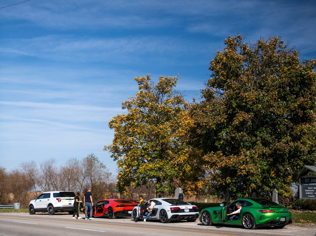 Ultimate Exotics景点图片