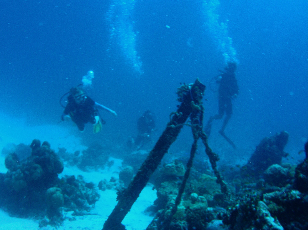 Meridis Dive and Water Sports at Cocogiri景点图片
