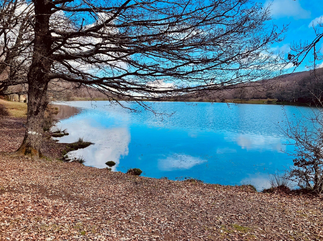Lago Maulazzo景点图片