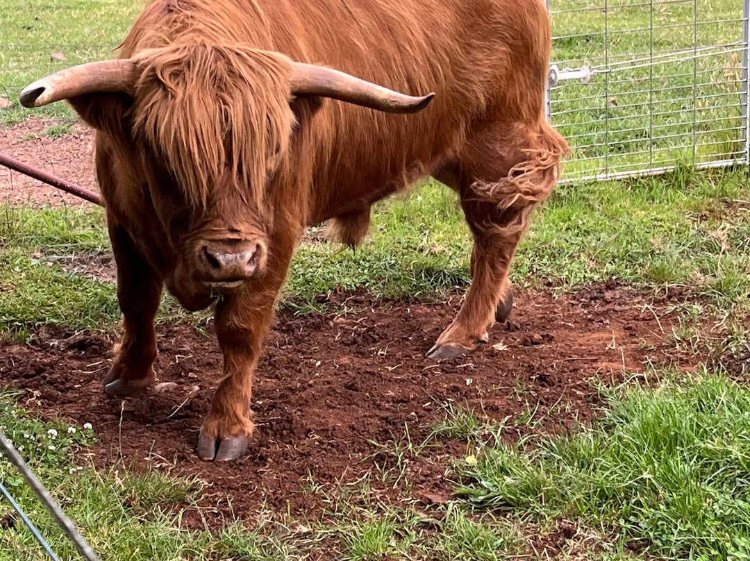格伦科鲁尔勒尔里特酒店主图