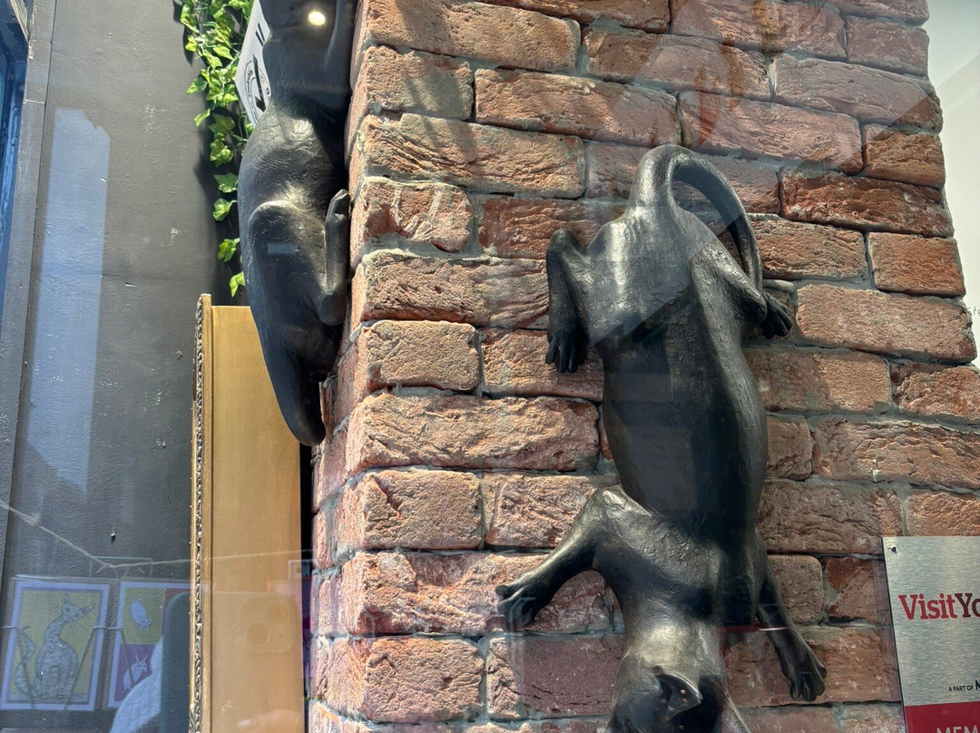 York Cat Trail-约克必去景点