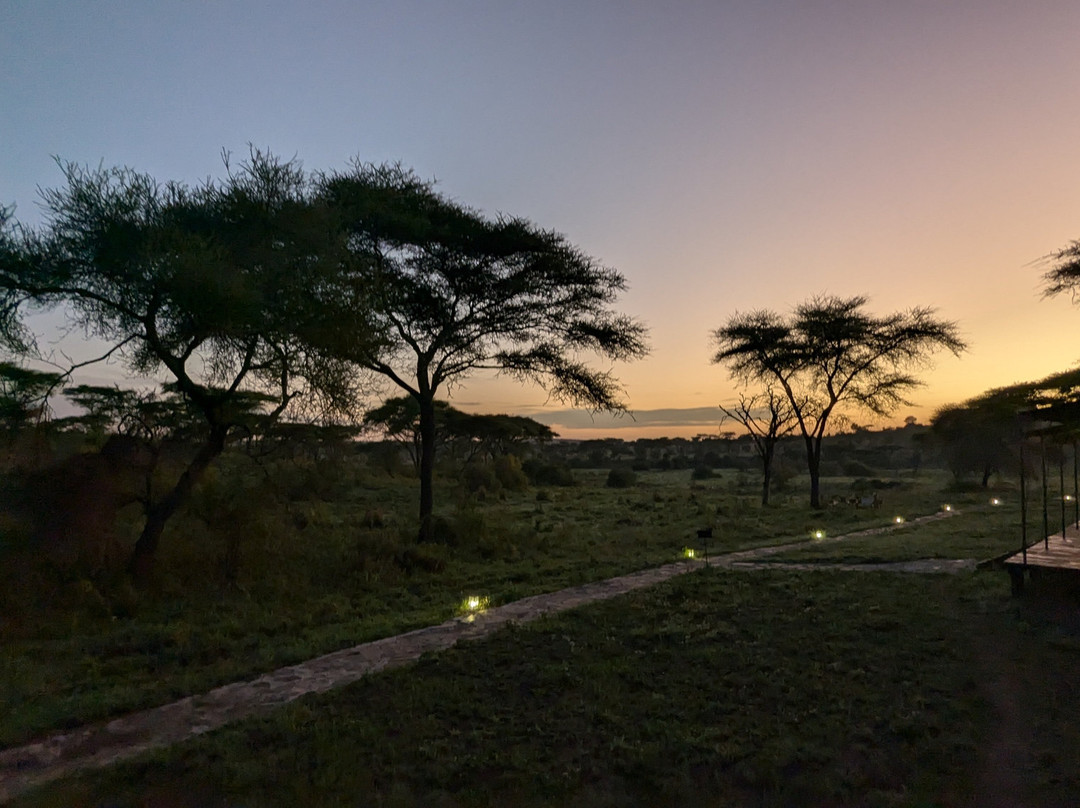 Trackless Wild.-阿鲁沙必去景点