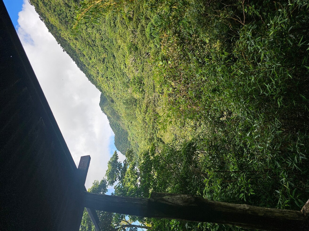EVACC Foundation - El Valle Amphibian Conservation Center Foundation景点图片