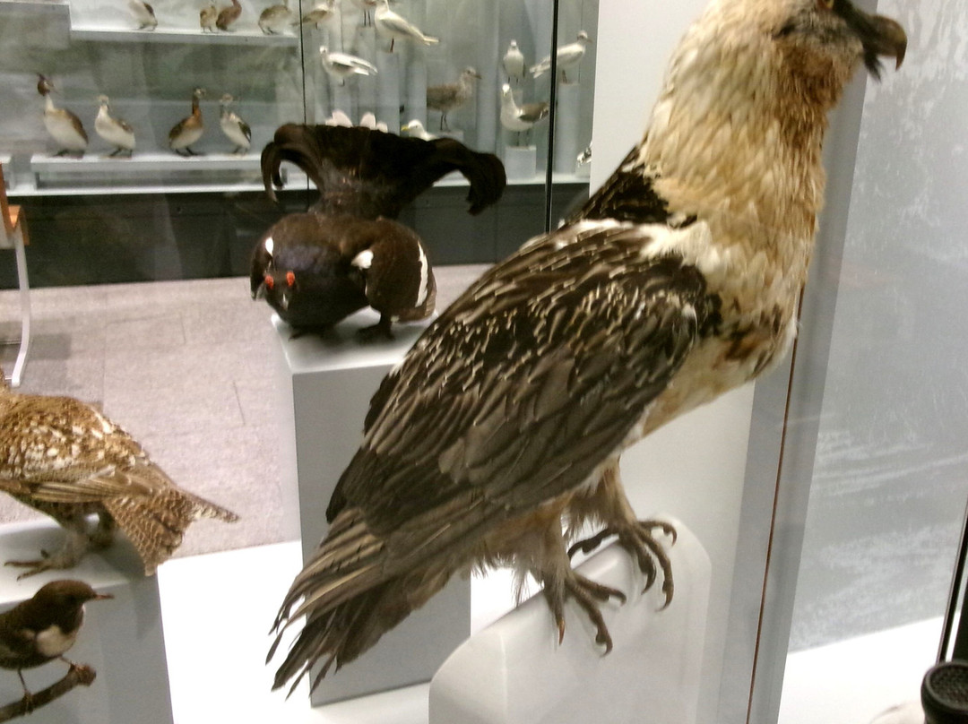 Zoologisches Museum der Universität Zürich-苏黎世必去景点