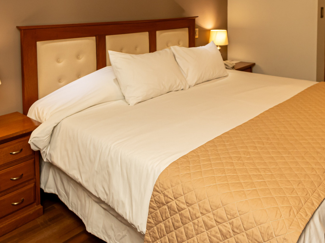 Toloma Gran Hotel主图