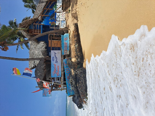 Tropical Treasure-Uvero Alto必去景点