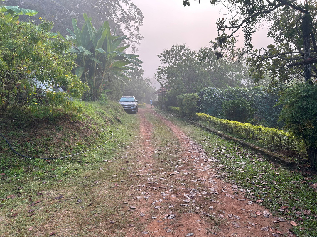 Amara Homestay, Dandeli主图
