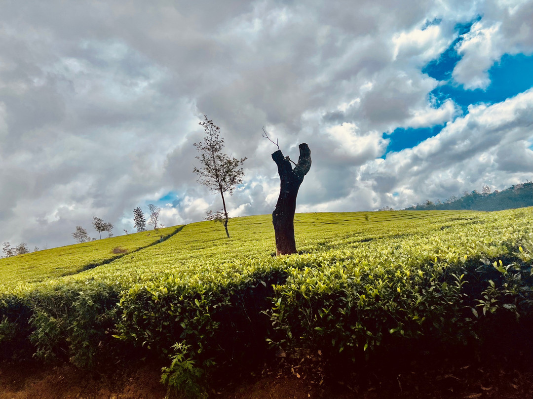 Ayubo Srilanka Tours-Hanwella必去景点