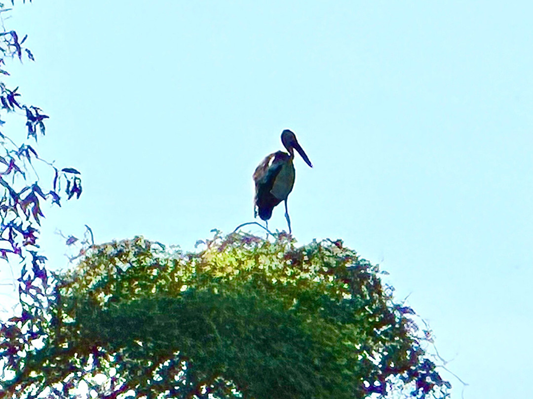 Khu Du Lịch Mùa Xuân-Nga Bay必去景点