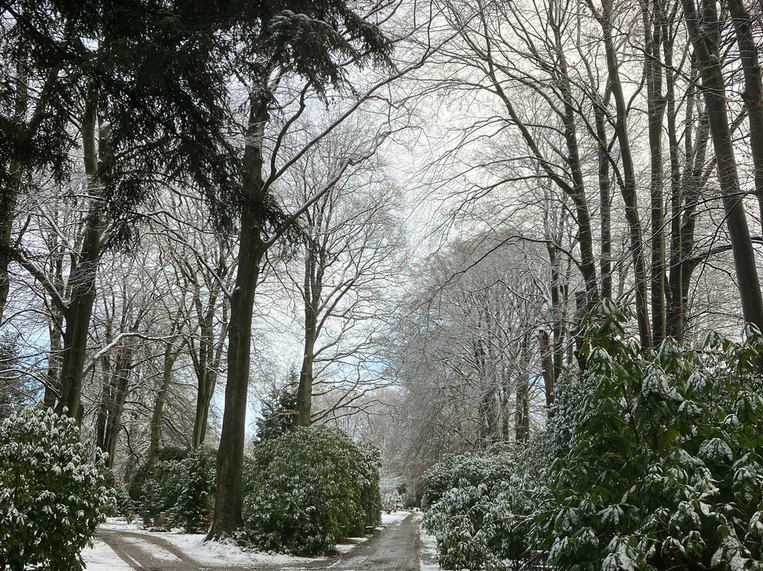 Ohlsdorf Cemetery-汉堡必去景点