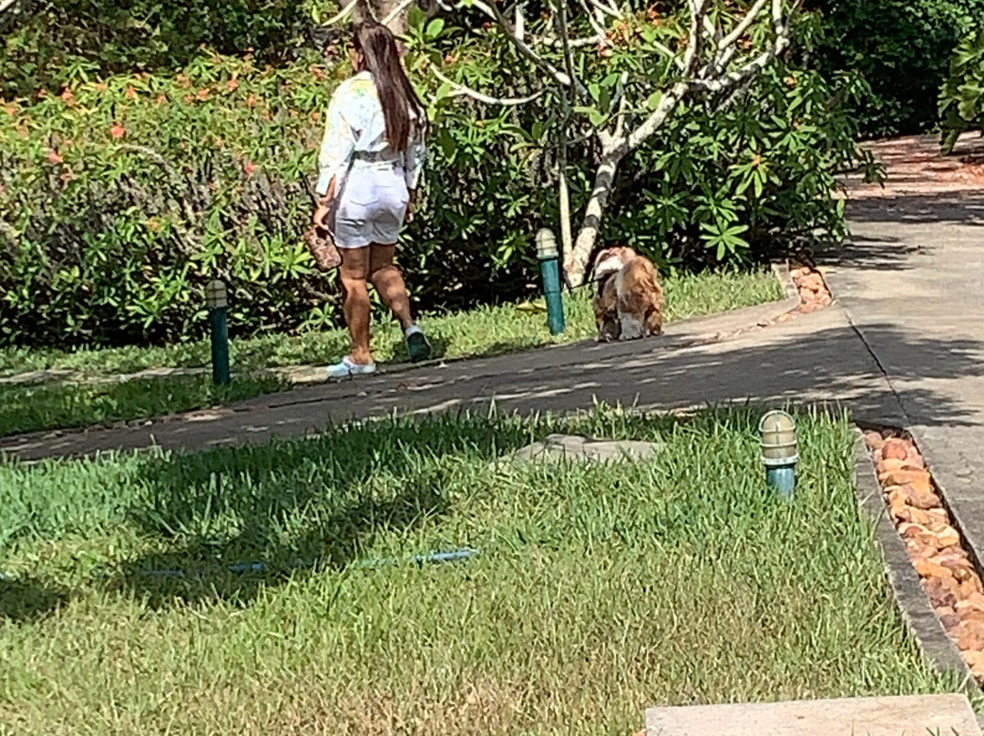 Oasis Boutique Hotel & Spa主图