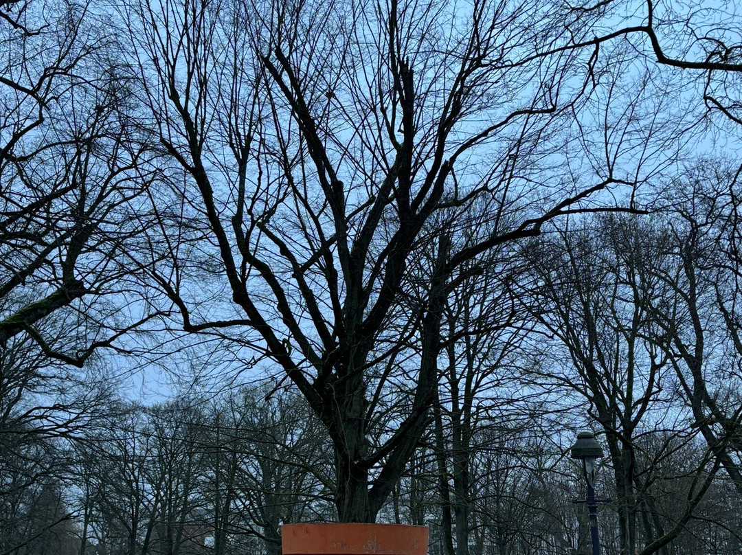 Französischer Garten-策勒县必去景点