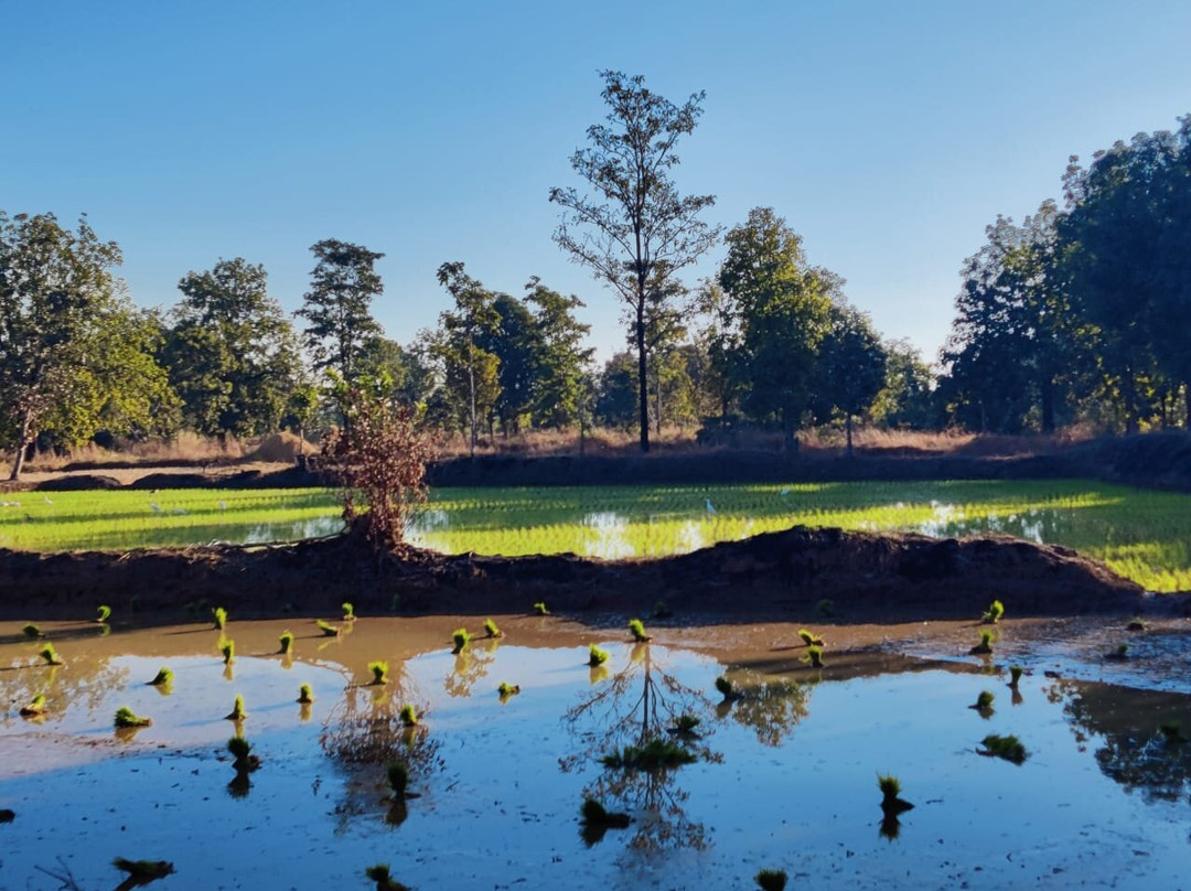 Bhimson’s Agro Park & Tourism景点图片