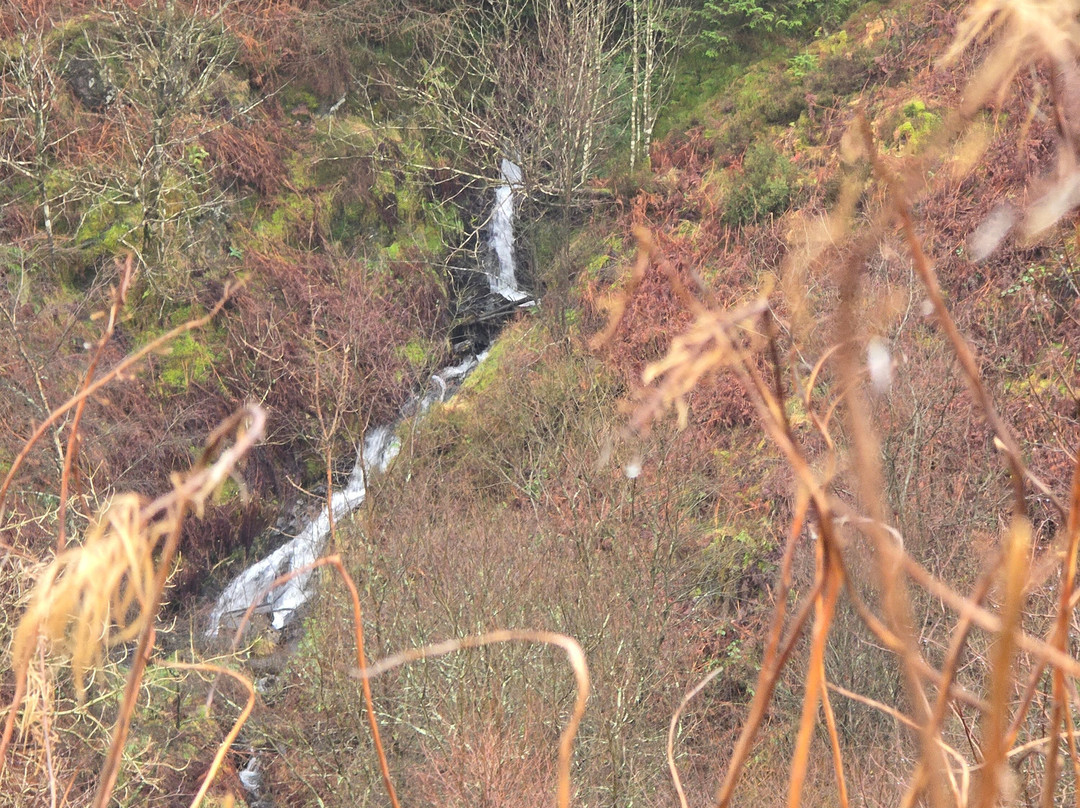 Glen Of The Bar-Newton Stewart必去景点