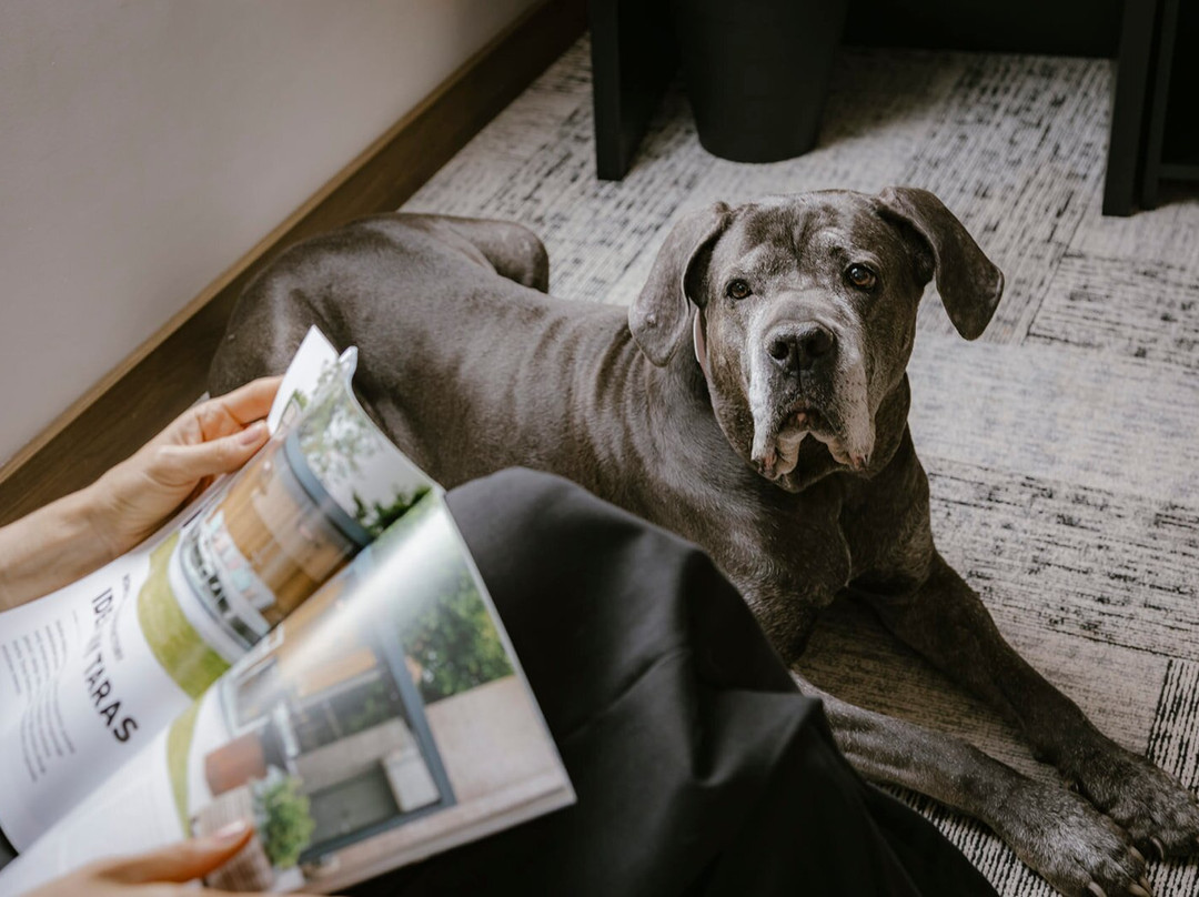 Ibb Hotel Gdańsk主图