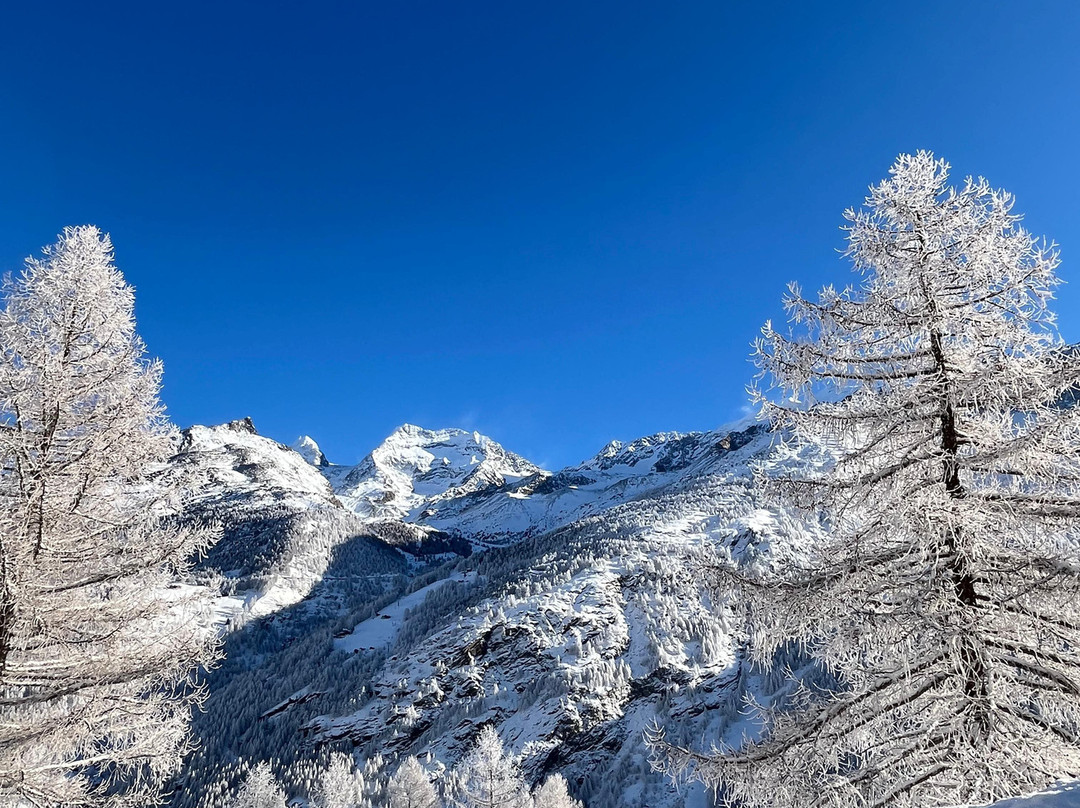 Waldhotel Fletschhorn主图