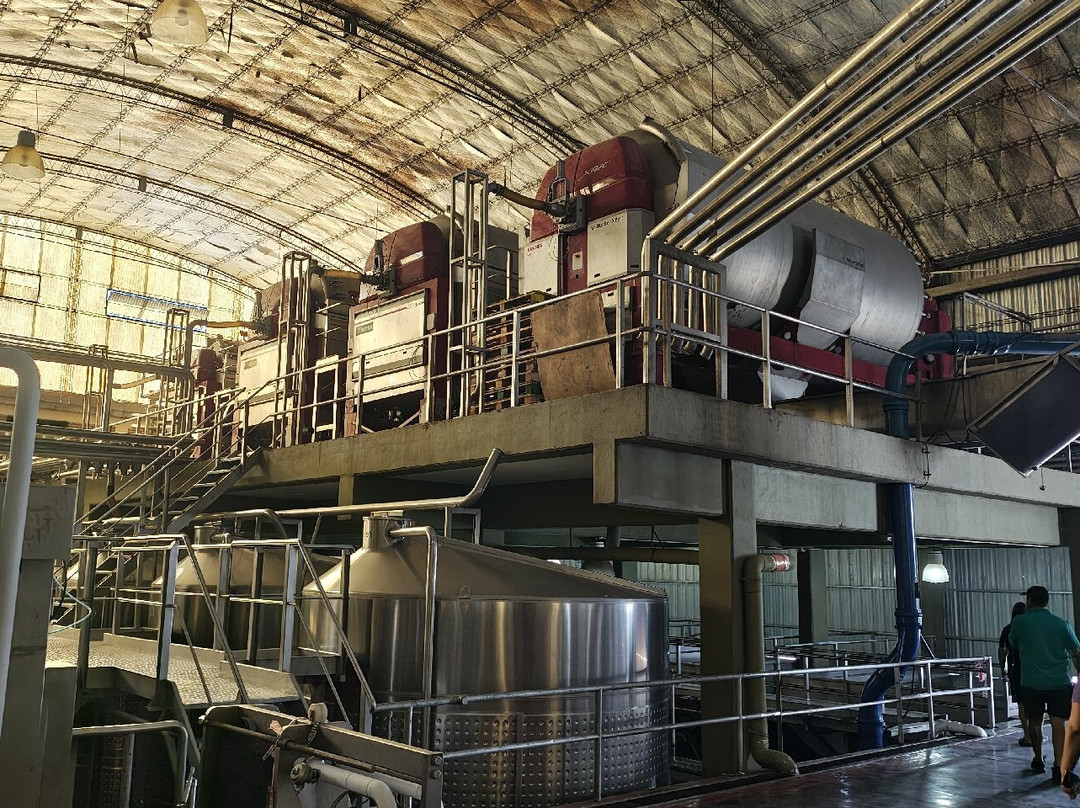 Bodegas Lopez-Maipu必去景点