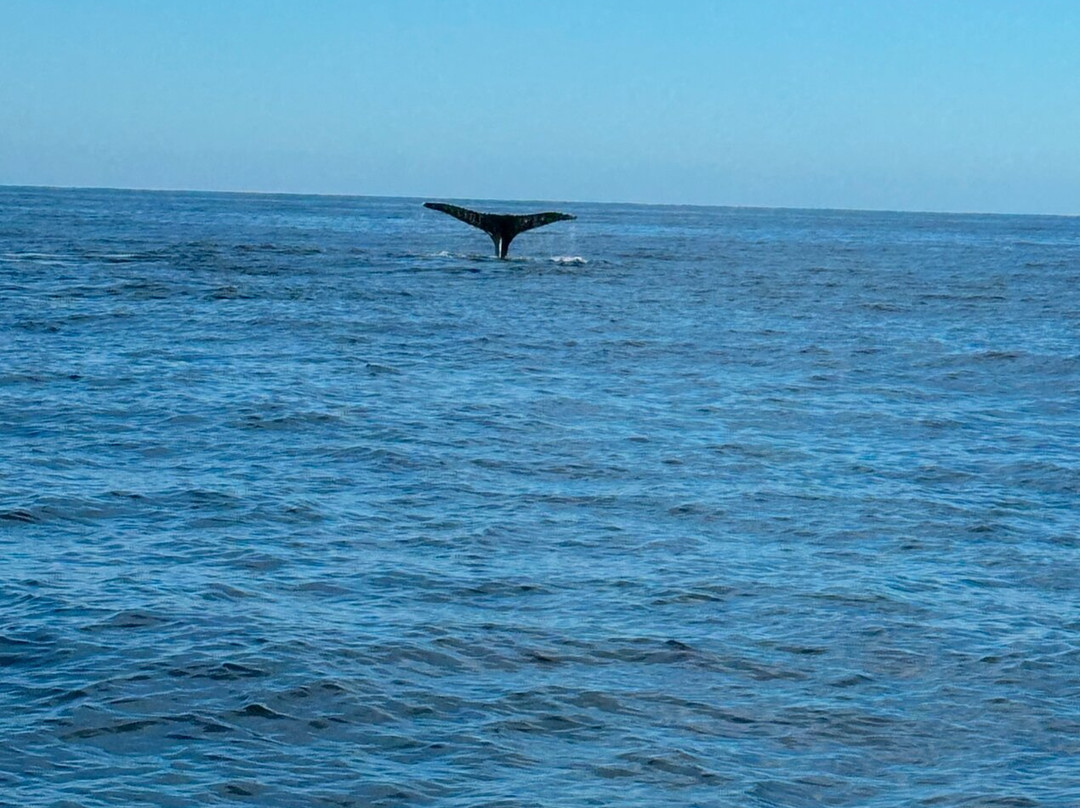 Mazatlan Tours-马萨特兰必去景点