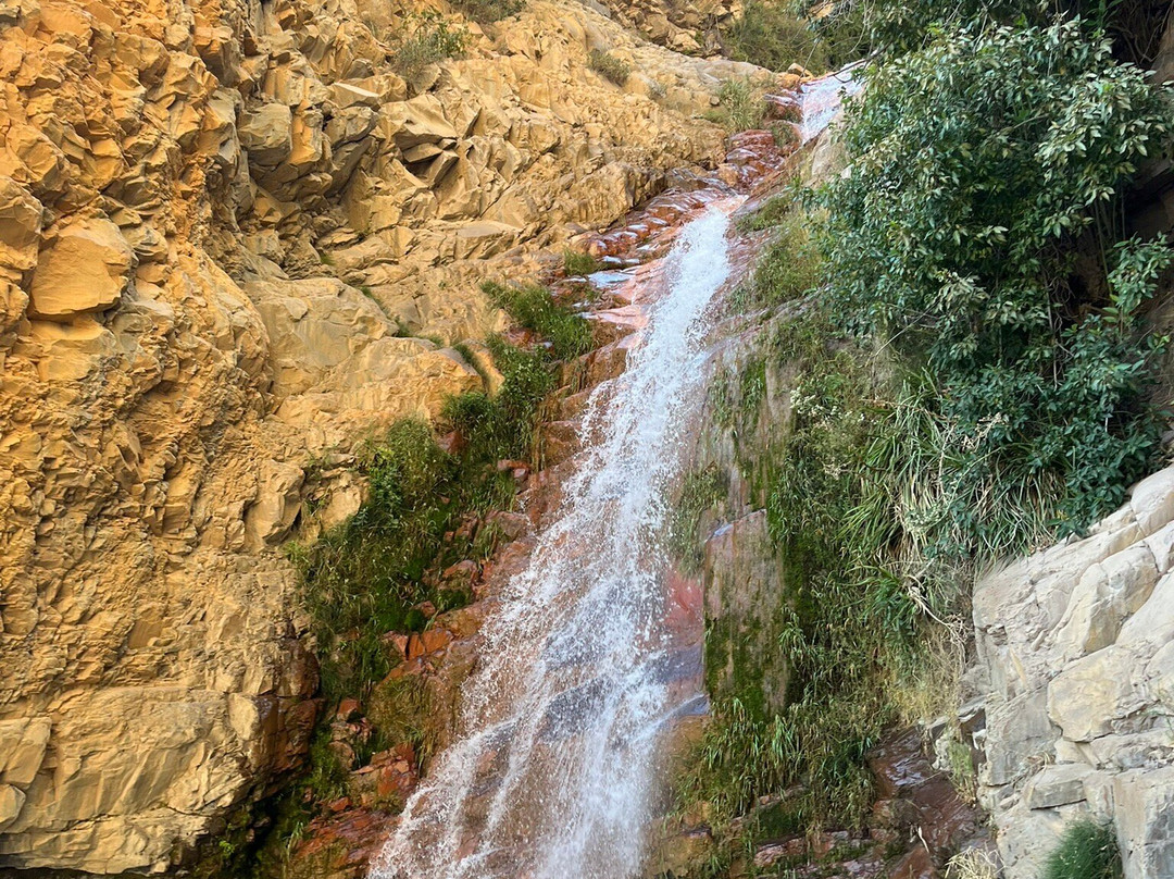 Las Melosas景点图片