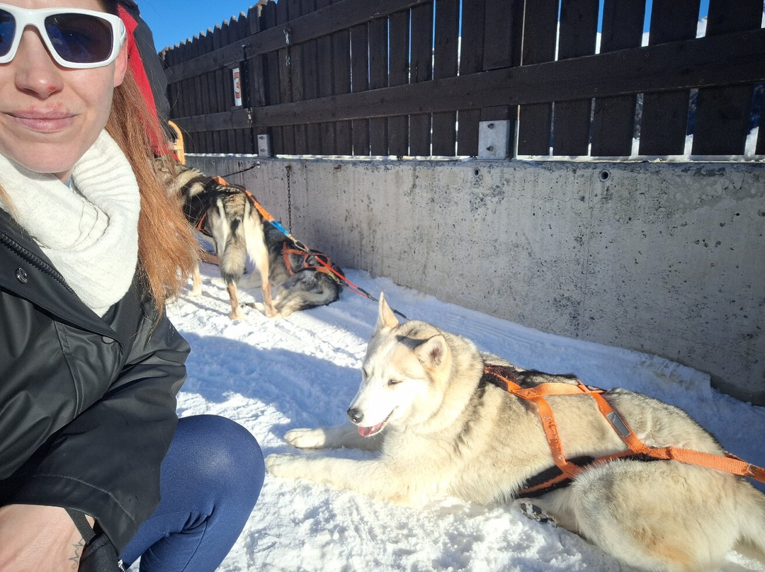 Centro Italiano Sleddog Husky Village-Valdidentro必去景点