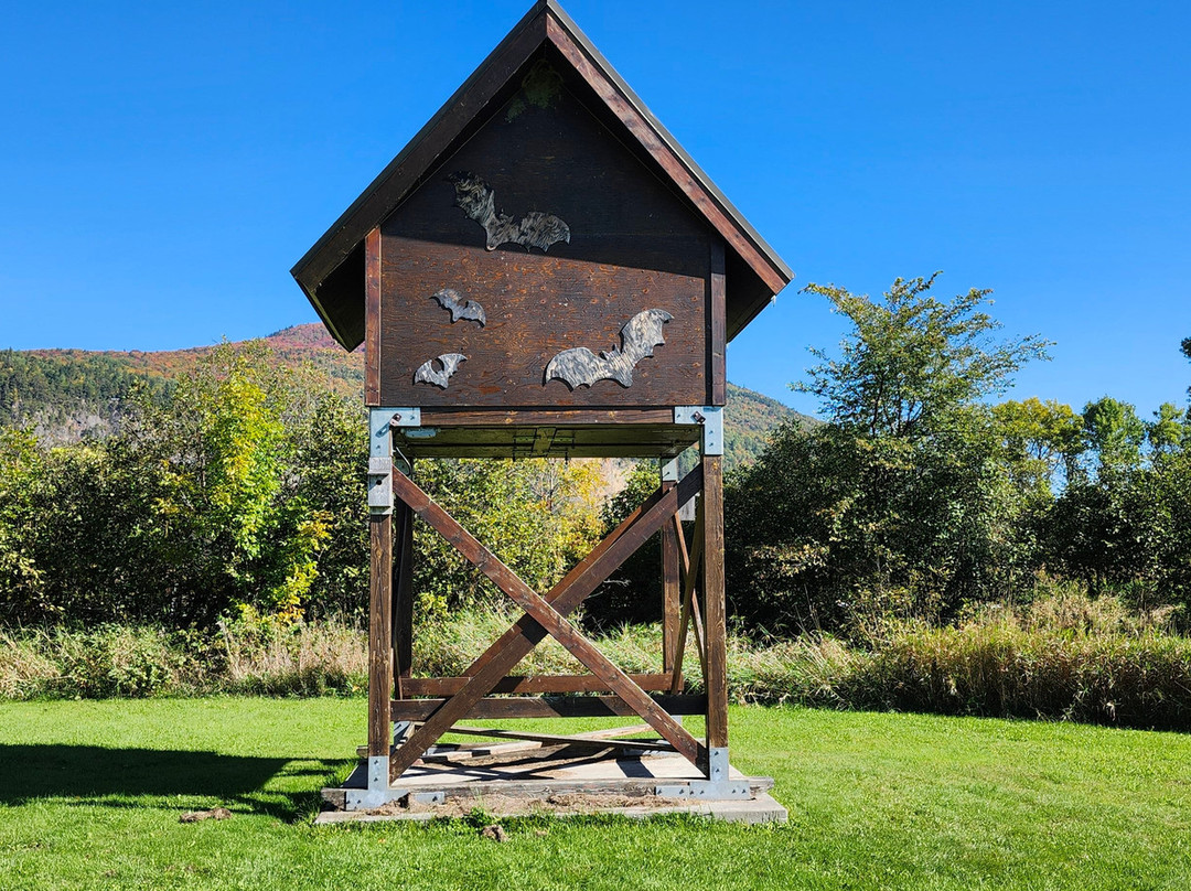 Reserve Nationale de Faune du Cap‑Tourmente景点图片